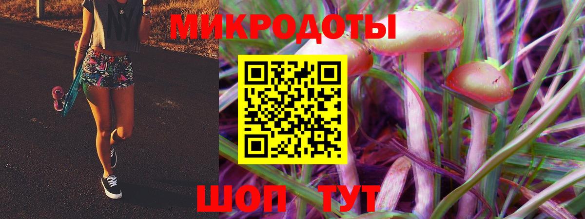 Псилоцибиновые грибы Cubensis Всеволожск