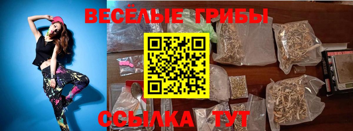 Всеволожск  Галлюциногенные грибы мухоморы  Вход с VPN  Галлюциногенные грибы Psilocybine cubensis 